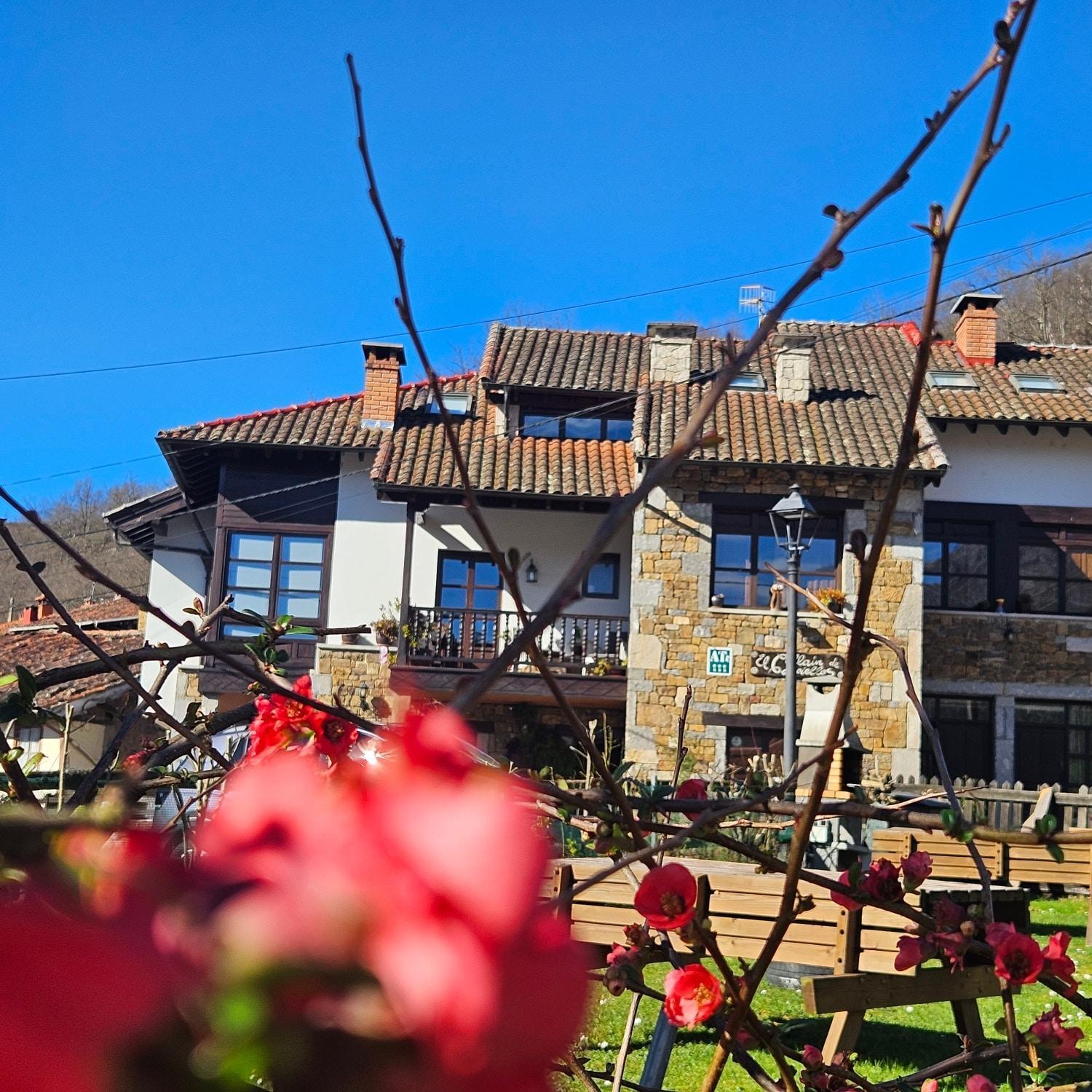 Apartamentos Rurales El Collain De Campiellos ภายนอก รูปภาพ