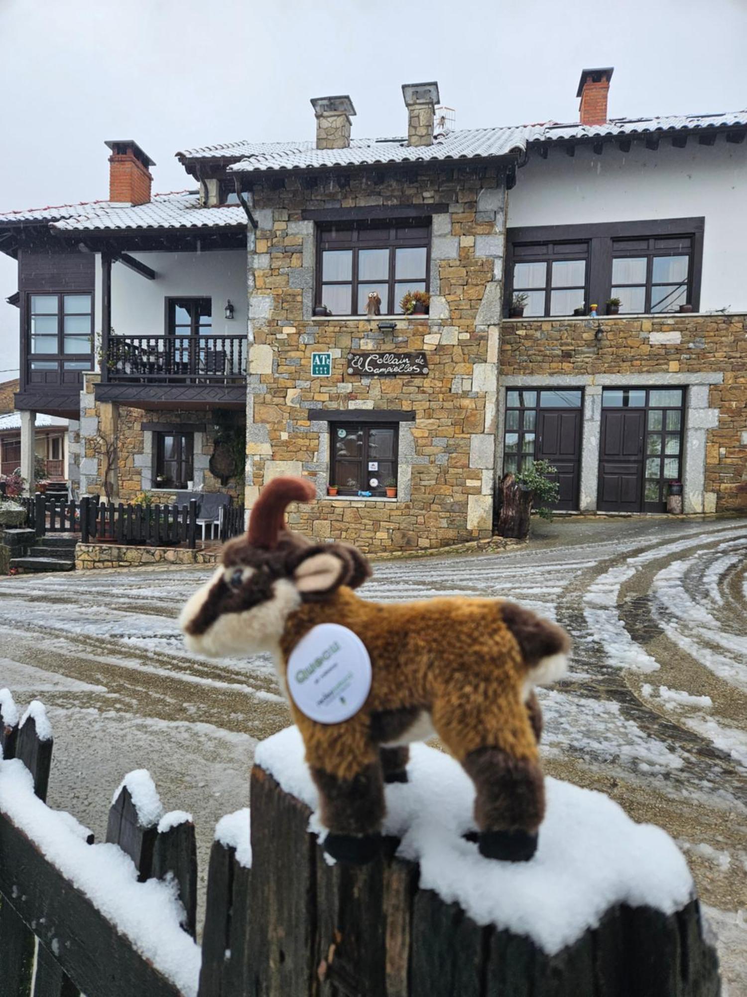 Apartamentos Rurales El Collain De Campiellos ภายนอก รูปภาพ